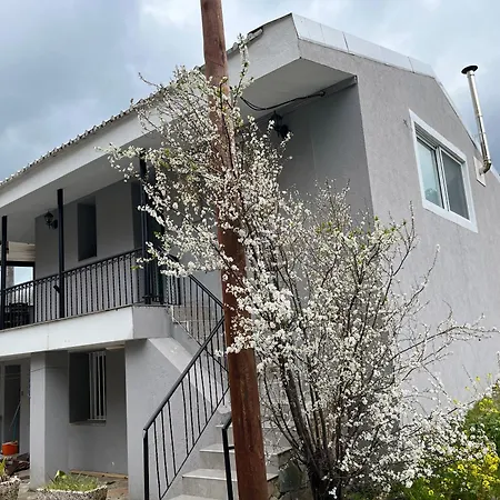 Dorelin House Troodos Area Villa *